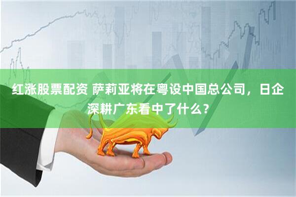 红涨股票配资 萨莉亚将在粤设中国总公司，日企深耕广东看中了什么？