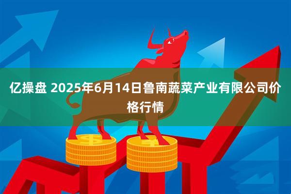 亿操盘 2025年6月14日鲁南蔬菜产业有限公司价格行情