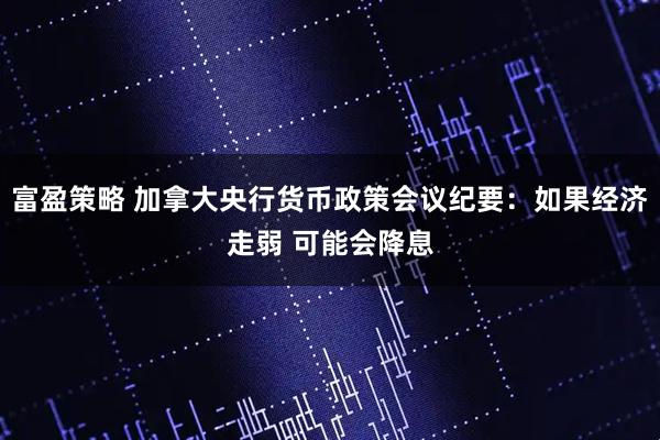 富盈策略 加拿大央行货币政策会议纪要：如果经济走弱 可能会降息
