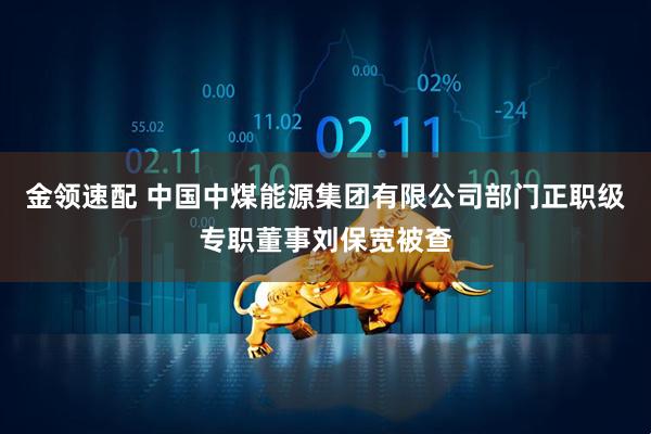 金领速配 中国中煤能源集团有限公司部门正职级专职董事刘保宽被查