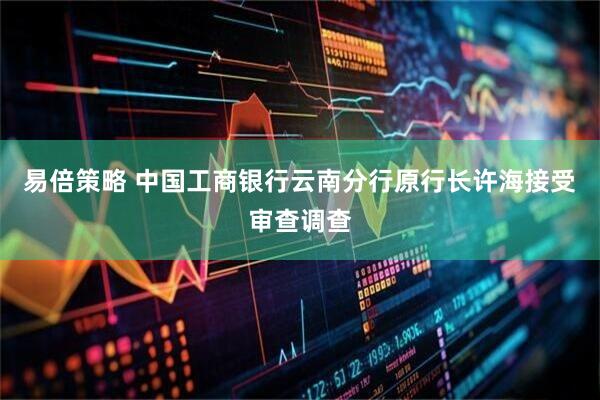 易倍策略 中国工商银行云南分行原行长许海接受审查调查