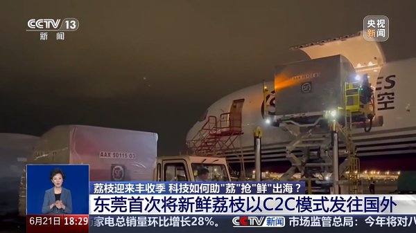 河南配资网 从枝头鲜到全球甜 科技助“荔”抢“鲜”出海