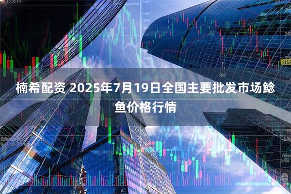 楠希配资 2025年7月19日全国主要批发市场鲶鱼价格行情