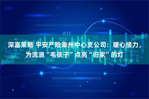 深富策略 平安产险漳州中心支公司：暖心接力，为流浪“毛孩子”点亮“归家”的灯