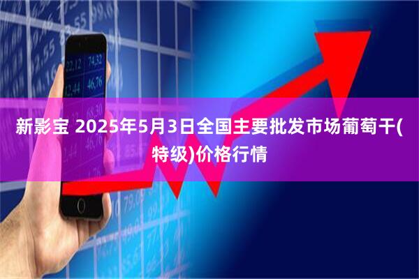 新影宝 2025年5月3日全国主要批发市场葡萄干(特级)价格行情