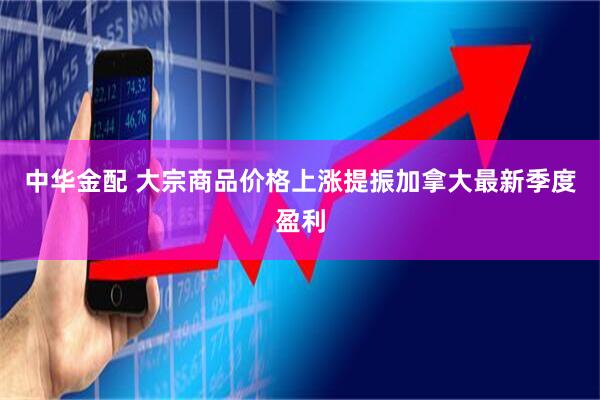 中华金配 大宗商品价格上涨提振加拿大最新季度盈利